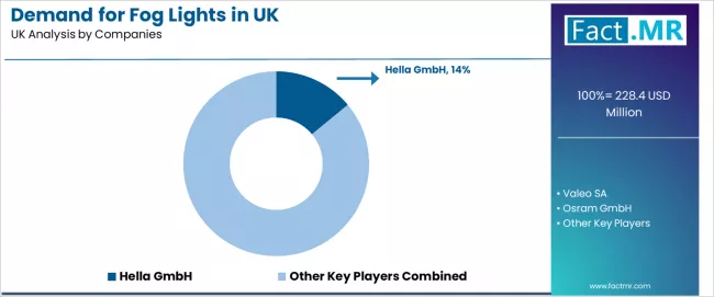Demand For Fog Lights In Uk Analysis By Company