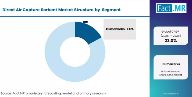 Direct Air Capture Sorbent Market Analysis By Company Direct Air Capture Sorbent Market Analysis By Company