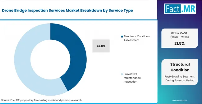 Drone Bridge Inspection Services Market Analysis By Service Type