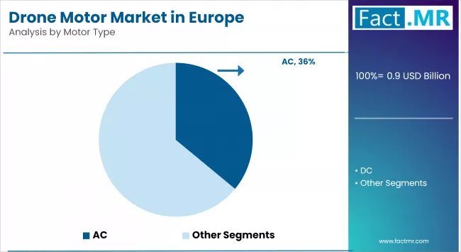 Drone Motor Market In Europe By Motor Type