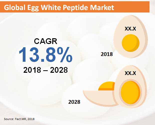 egg white peptide market