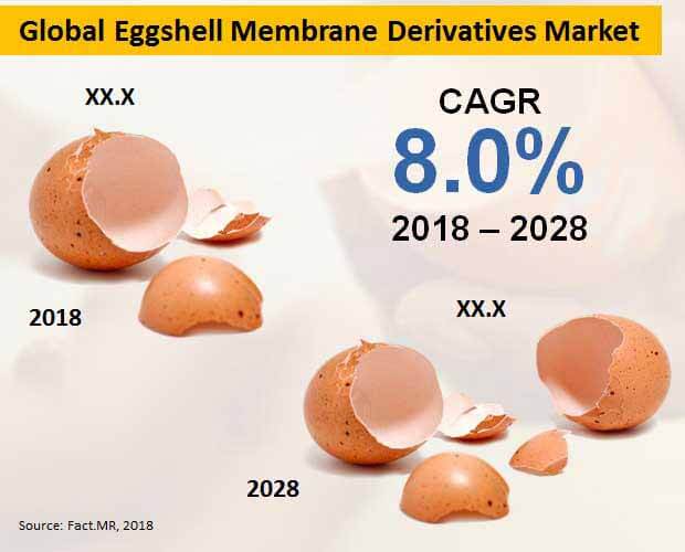 eggshell membrane derivatives market