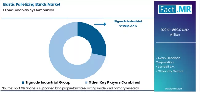 Elastic Palletizing Bands Market Analysis By Company Elastic Palletizing Bands Market Analysis By Company