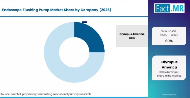 Endoscope Flushing Pump Market Analysis By Company