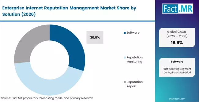 Enterprise Internet Reputation Management Market Analysis By Solution