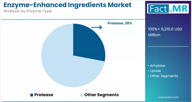 Enzyme Enhanced Ingredients Market By Enzyme Type