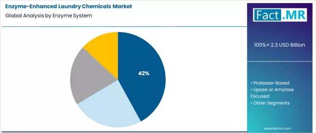 Enzyme Enhanced Laundry Chemicals Market Analysis By Enzyme System