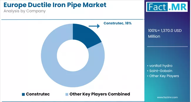 Europe Ductile Iron Pipes Market Analysis By Company