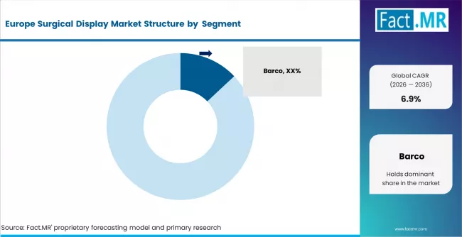 Europe Surgical Display Market Analysis By Company