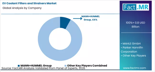 Ev Coolant Filters And Strainers Market Analysis By Company Ev Coolant Filters And Strainers Market Analysis By Company