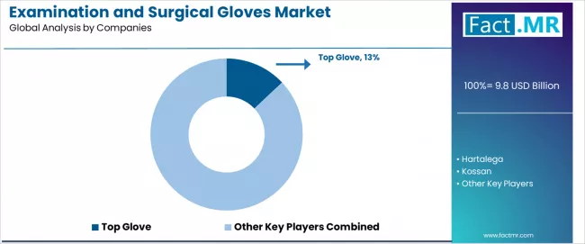 Examination And Surgical Gloves Market Analysis By Company