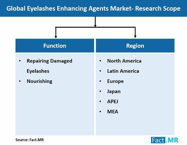 Eyelashes Enhancing Agents Market Research Scope eyelashes enhancing agents market research scope