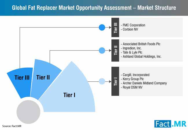 Fat Replacers Market 2 fat replacers market 2
