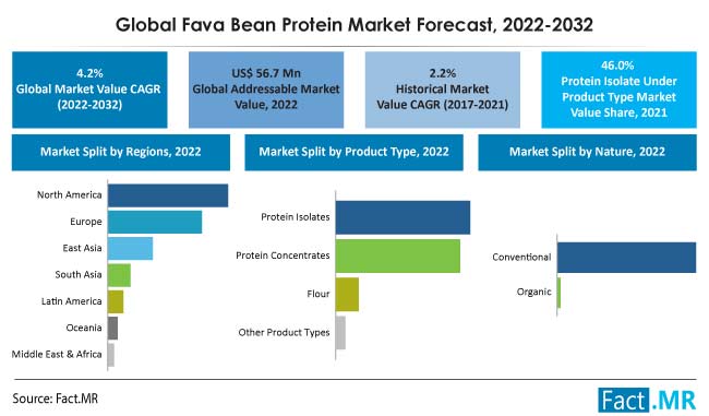 Faba bean protein to revolutionise global market for plant-based diets -  Food and Drink Technology