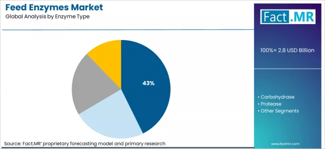 Feed Enzymes Market Analysis By Enzyme Type