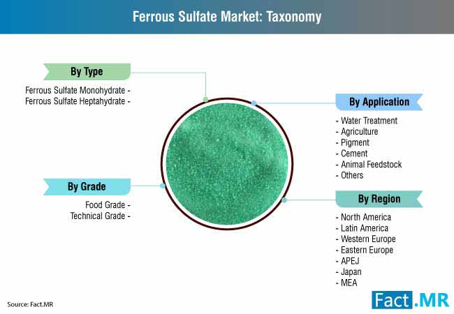 ferrous sulfate market 3