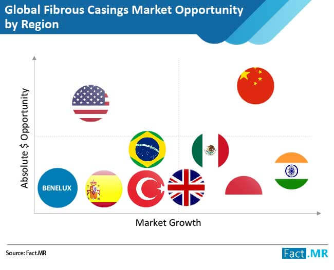 Fibrous Casings Market Forecast, Trend Analysis & Competition Tracking - Global Market Insights 2019 to 2029