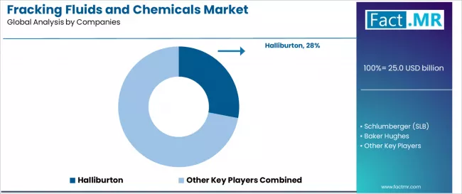 Fracking Fluids And Chemicals Market Analysis By Company