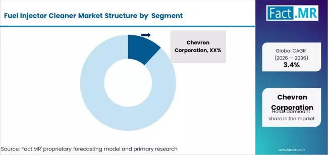 Fuel Injector Cleaner Market Analysis By Company