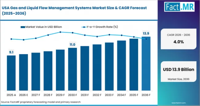 Gas And Liquid Flow Management Systems Market Country Value Analysis Gas And Liquid Flow Management Systems Market Country Value Analysis