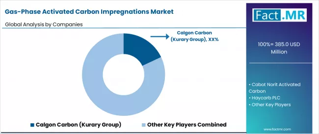 Gas Phase Activated Carbon Impregnations Market Analysis By Company