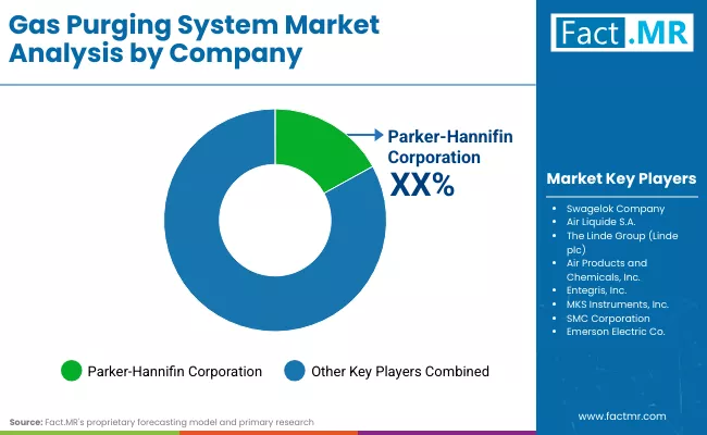 Gas Purging System Market By Company