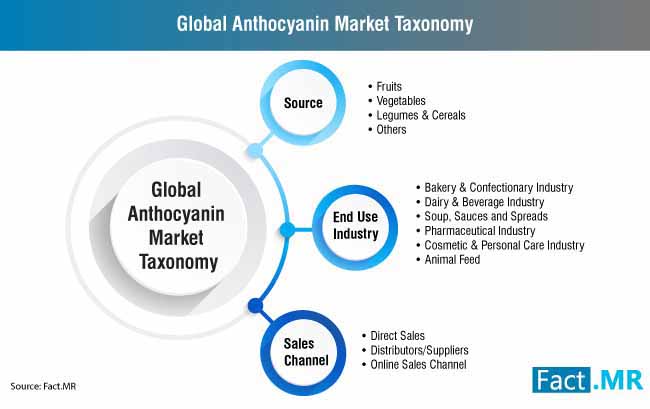 global anthocyanin market taxonomy