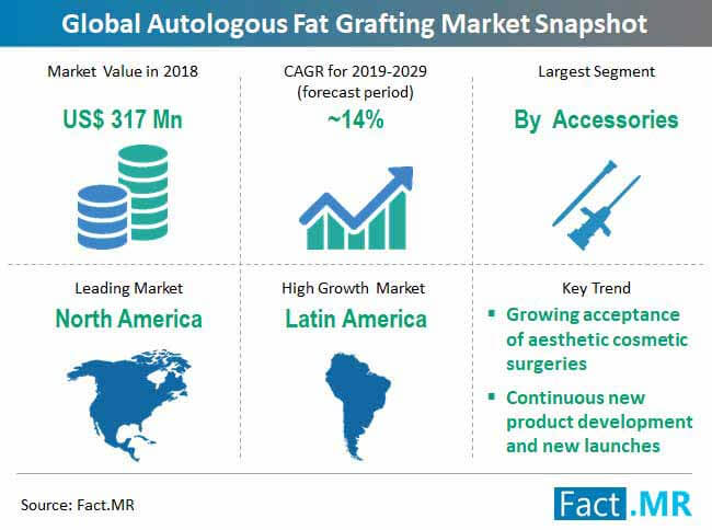 global autologous fat grafting market snapshot