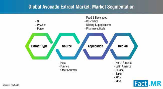 global avocado extract market market segmentation