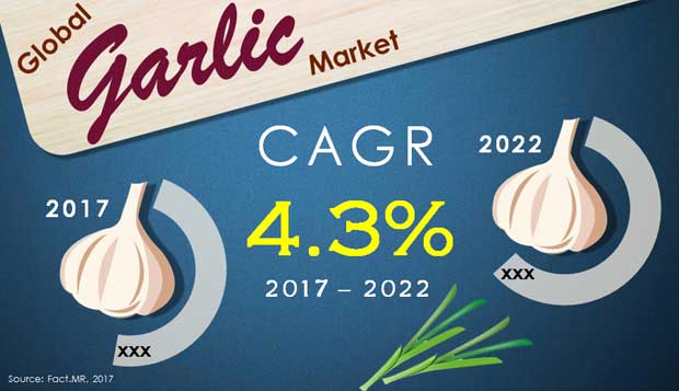 global garlic market