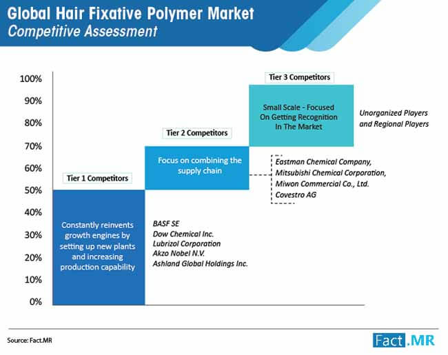 Global hair fixative polymer market forecast by Fact.MR