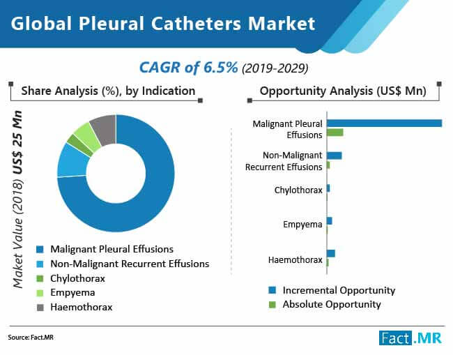 global pleural catheters market 02