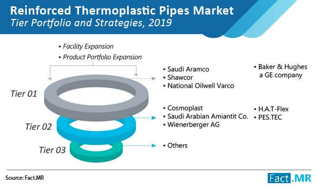 Global Reinforced Thermoplastic Pipes Market Tier Portfolio And Strategies global reinforced thermoplastic pipes market tier portfolio and strategies