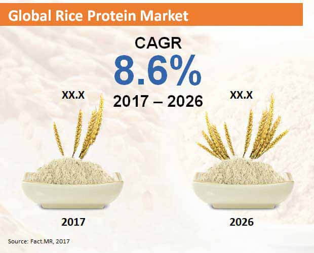 Global Rice Protein Market global rice protein market