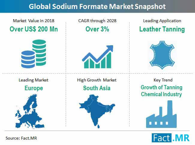 global sodium formate market snapshot