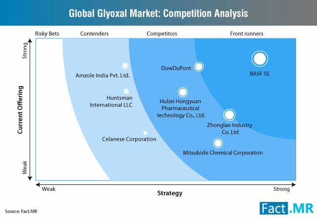 glyoxal market competition analysis