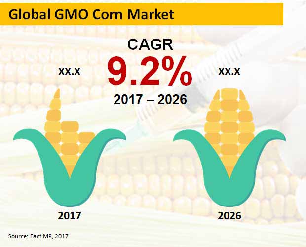 gmo corn market