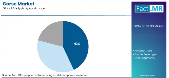 Gorse Market Analysis By Application