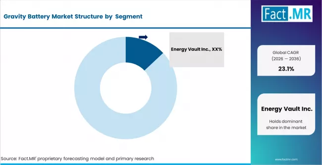 Gravity Battery Market Analysis By Company