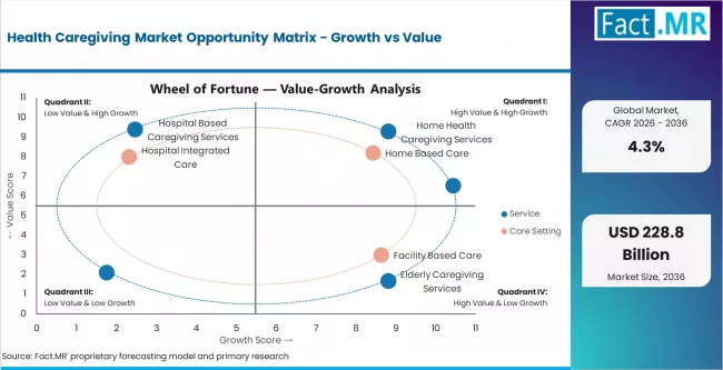 Health Caregiving Market Opportunity Matrix Growth Vs Value