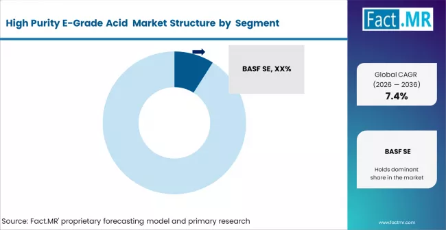 High Purity E Grade Acid Market Analysis By Company