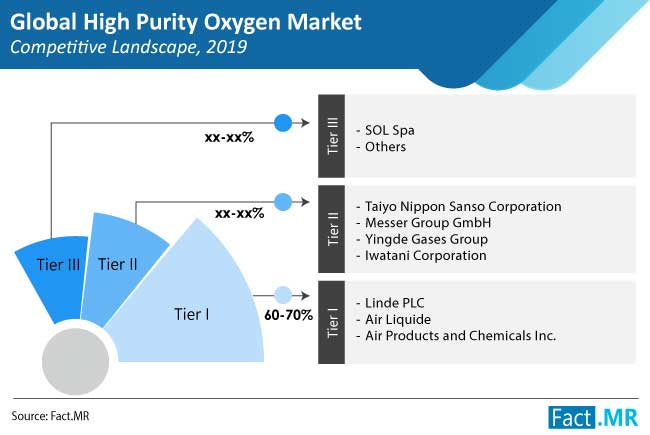 high purity oxygen market competition landscape