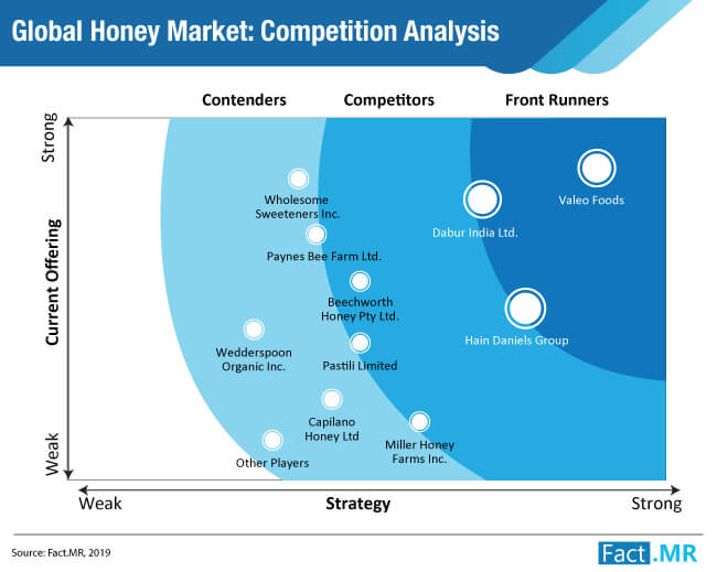 global honey market competitive analysis