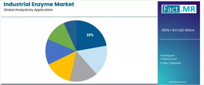 Industrial Enzyme Market Analysis By Application