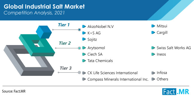 Industrial salt market competition analysis by Fact.MR