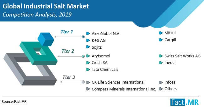 industrial salt market competition analysis