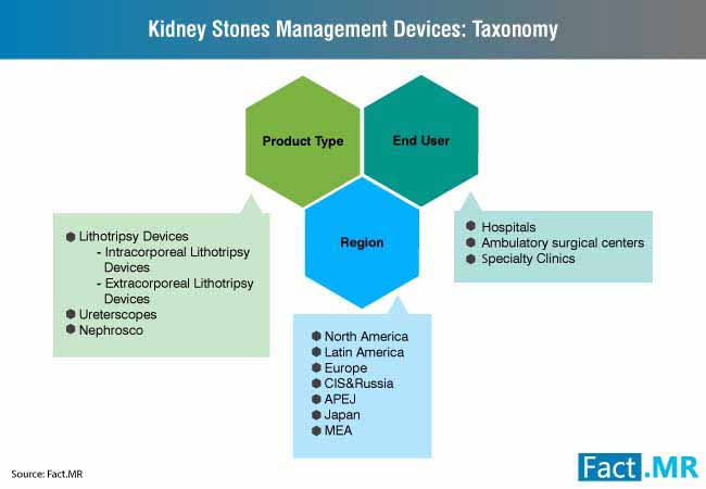 Kidney Stone Management Devices Market kidney stone management devices market