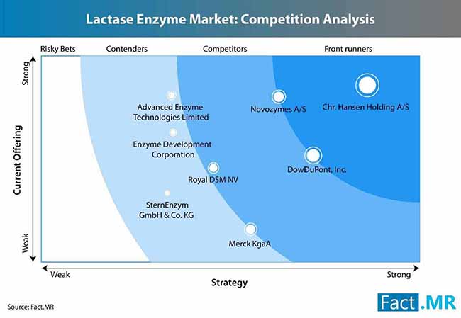 lactase enzyme market 2