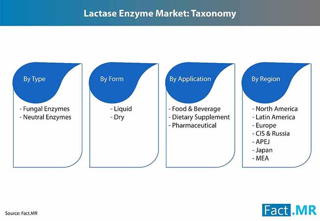 lactase enzyme market 3