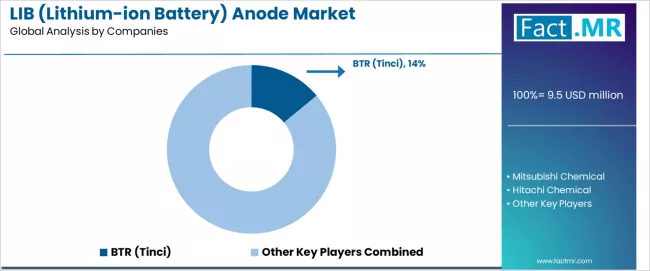 Lib (lithium Ion Battery) Anode Market Analysis By Company